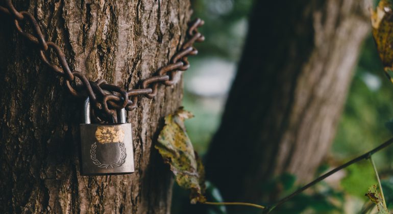We lock arbre